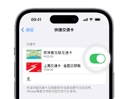 南山apple维修点分享iPhone上更换Apple Pay快捷交通卡手绘卡面 