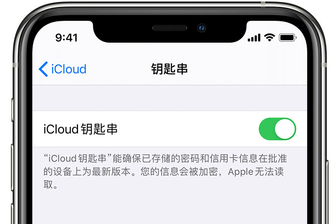 南山苹果手机维修分享在 iPhone 上开启 iCloud 钥匙串之后会储存哪些信息 